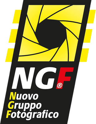 Logo NGF